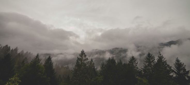 mountains-clouds-forest-trees